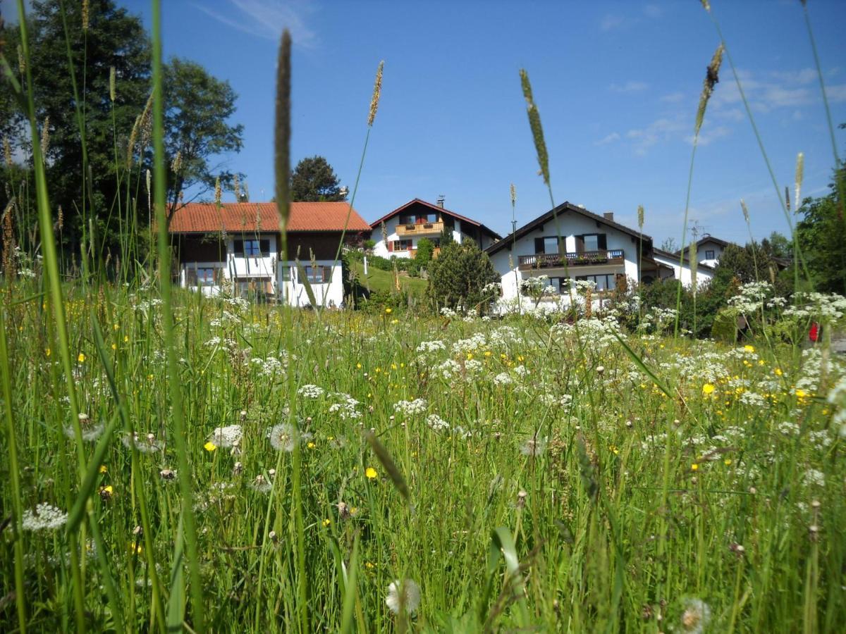 Im- Oberland - Berg - Koenigscard Apartment Bad Kohlgrub Exterior photo